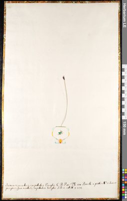 LE 01091373