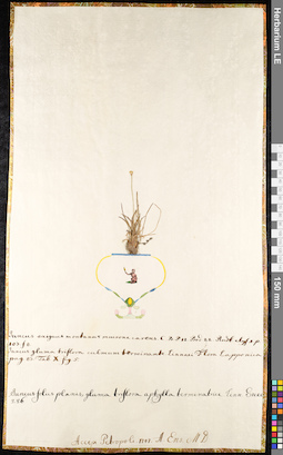 LE 01091374