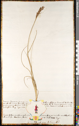 LE 01091376