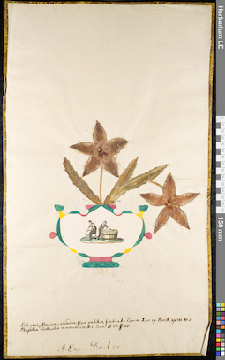 LE 01091395