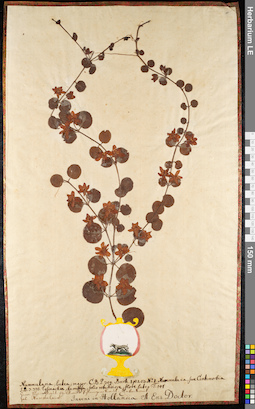 LE 01091748