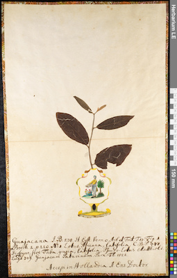 LE 01091754