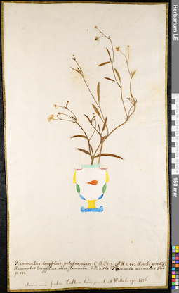 LE 01091755
