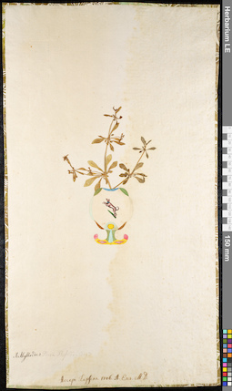 LE 01091756