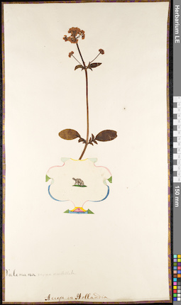 LE 01091758