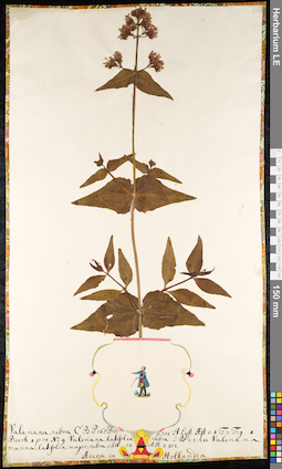 LE 01091760