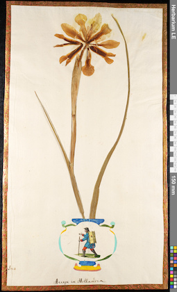 LE 01091776