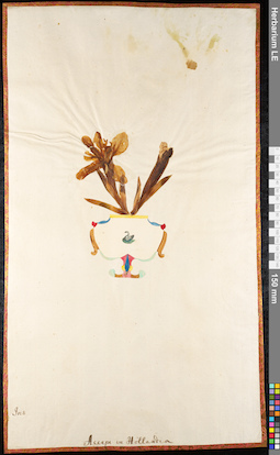 LE 01091777