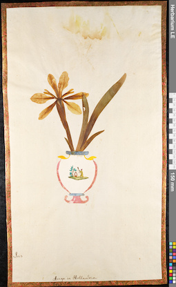 LE 01091779