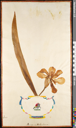 LE 01091780