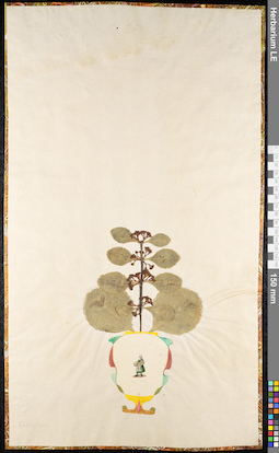LE 01091808