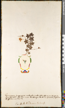 LE 01091816