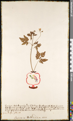 LE 01091820