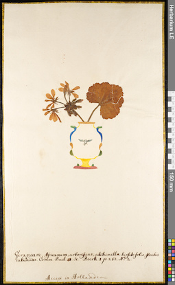 LE 01091821