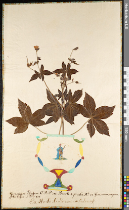 LE 01091827