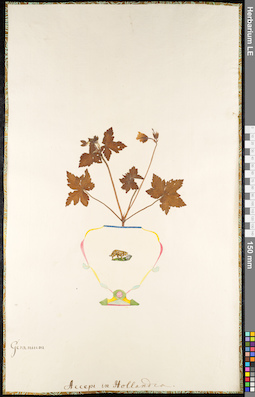 LE 01091829