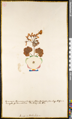 LE 01091830