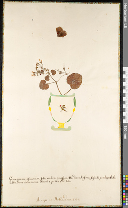 LE 01091831