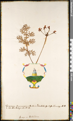 LE 01091832