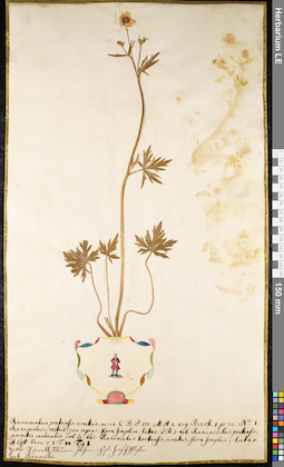 LE 01091858