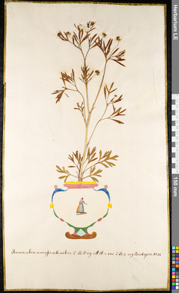 LE 01091859