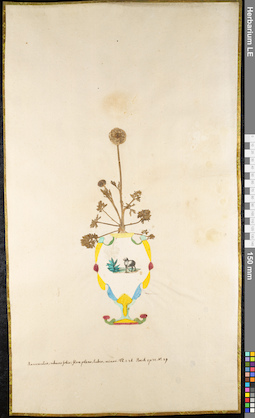 LE 01091863