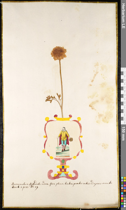 LE 01091864