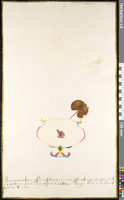 LE 01091866