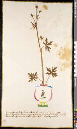LE 01091867