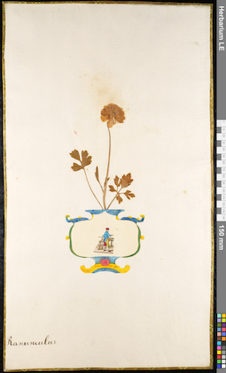 LE 01091871