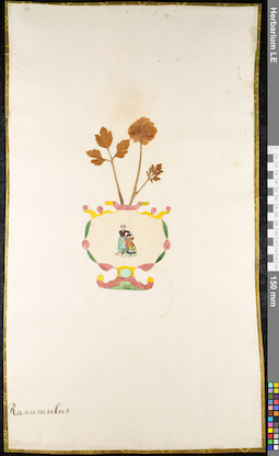 LE 01091872