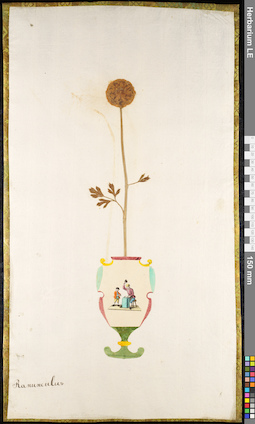 LE 01091873