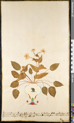 LE 01091875