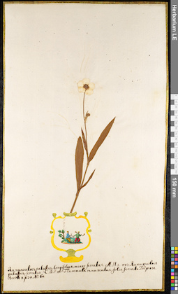 LE 01091876
