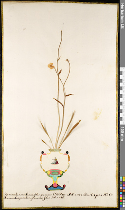 LE 01091877