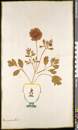 LE 01091885