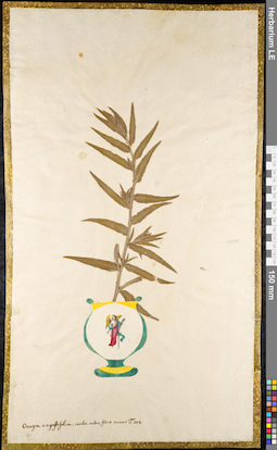 LE 01091887