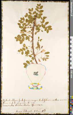 LE 01091889
