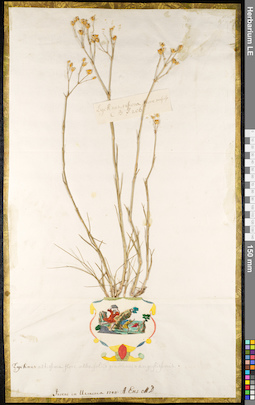 LE 01091890