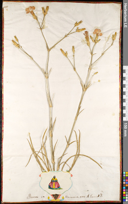 LE 01091893