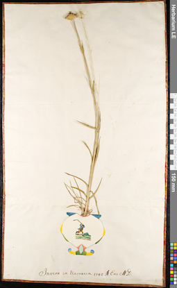 LE 01091894