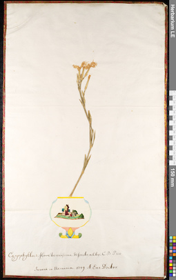 LE 01091895