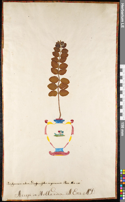 LE 01092035