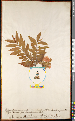 LE 01092037
