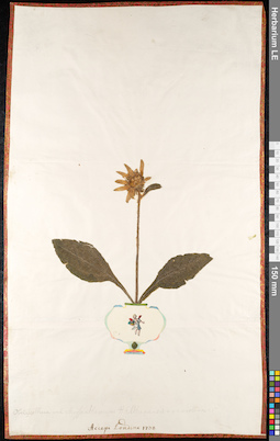 LE 01092044