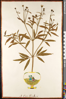 LE 01092045