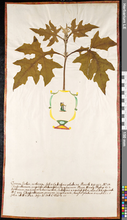 LE 01092049
