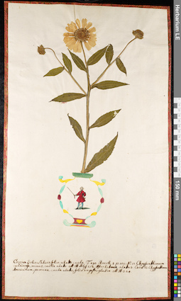 LE 01092051