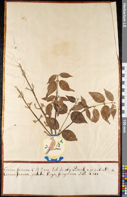 LE 01092057