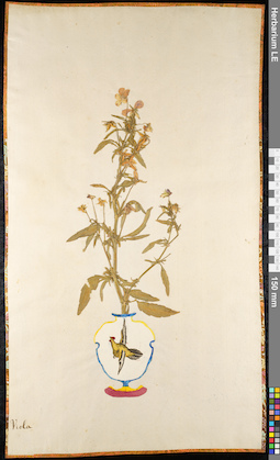 LE 01092067